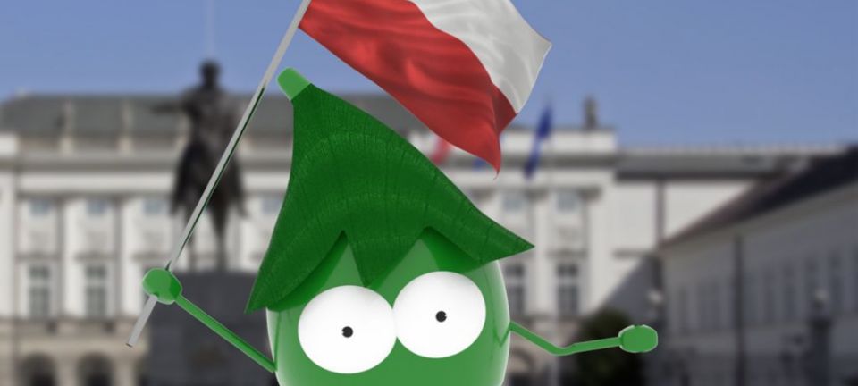 groszek-polski